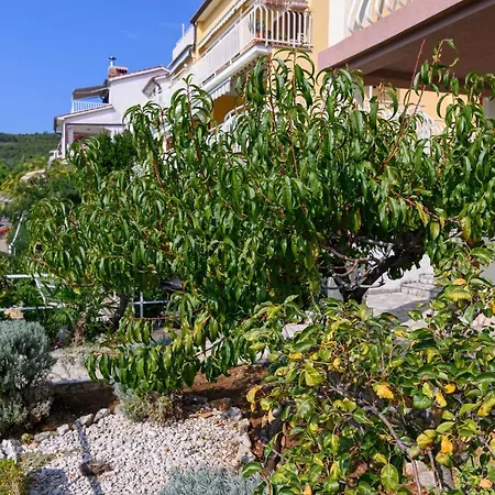 With A Parking Space Rabac, Labin - 19055 Apartment *