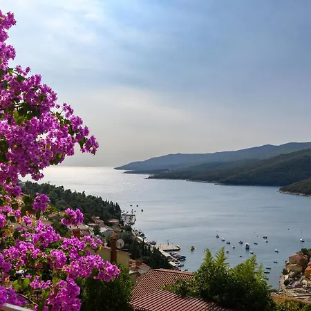 With A Parking Space Rabac, Labin - 19055 Apartment *
